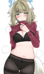  animal_ears arm_behind_back belly black_bra black_panties black_pantyhose blue_archive blue_halo blunt_bangs blush bow bow_panties bra breasts cleavage clenched_teeth clothes_lift commentary_request cowboy_shot female green_hair halo highres lifting_own_clothes long_hair long_sleeves looking_down medium_breasts muffin_top navel panties panties_under_pantyhose pantyhose red_shirt shirt shirt_lift simple_background skindentation solo stomach sweat tail teeth thick_eyebrows thighband_pantyhose tsumayouji_(tumayog) turtleneck underwear white_background yakumo_(blue_archive) 