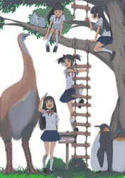  4girls akinbo_(hyouka_fuyou) bad_id bad_pixiv_id bird black_hair branch brown_eyes climbing in_tree long_hair moa_(animal) multiple_girls open_mouth original penguin photoshop_(medium) rope_ladder school_uniform serafuku short_twintails sitting sitting_in_tree skirt smile tree twintails 