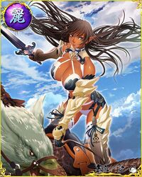  animal arshes_nei bare_shoulders bastard!! black_hair blue_eyes breasts card_(medium) cleavage clouds dark_skin detached_collar female floating_hair flying holding holding_sword large_breasts legs long_hair looking_at_viewer outdoors pointy_ears serious sky solo_focus standing sword thighs thong 