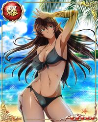  armpits arshes_nei bastard!! beach bikini black_bikini breasts brown_hair card_(medium) cleavage clouds cowboy_shot dark_skin female floating_hair green_eyes large_breasts legs long_hair looking_up mound_of_venus navel ocean outdoors pointy_ears solo standing sunlight thighs water 