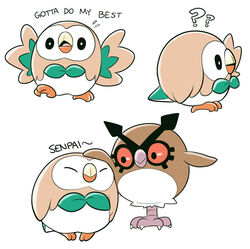  ? ?? animal_focus bird commentary english_text headpat hoothoot mary_cagle no_humans owl pokemon pokemon_(creature) romaji_text rowlet simple_background white_background 