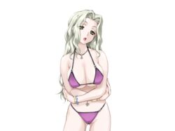  bare_shoulders bikini blonde_hair breasts collar crossed_arms female game_cg happoubi_jin huge_breasts legs long_hair looking_at_viewer navel piercing resort_boin shinjou_kanae simple_background solo standing swimsuit thighs white_background yellow_eyes 