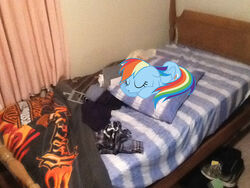  4:3 bed bedding blanket clothing comforter deadskull equid equine footwear friendship_is_magic furniture hanger harley_davidson hasbro horse mammal messy my_little_pony pillow pony rainbow_dash_(mlp) rubik&#039;s_cube shoes sleeping 