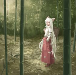  armband bamboo bamboo_forest bow casket cigarette closed_mouth collared_shirt commentary_request day expressionless female forest from_side fujiwara_no_mokou full_body hair_ribbon hairbow hand_in_pocket hand_up lips long_hair long_skirt long_sleeves looking_at_viewer mouth_hold nagi_(xx001122) nature ofuda ofuda_on_clothes outdoors red_eyes ribbon shirt skirt smoke smoking solo standing suspender_skirt suspenders touhou very_long_hair white_hair wing_collar 