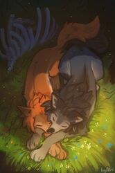  2022 alpha_and_omega black_body black_fur canid canine canis crest_animation_studios cuddling digital_media_(artwork) duo female feral fur grass hi_res humphrey hyilpi kate_(alpha_and_omega) male mammal orange_body orange_fur outside paws plant smile wolf 