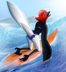  avian beach beak better_version_at_source bikini bird camel_toe clothing corrvo eyebrows eyelashes feathered_wings feathers feet female hi_res looking_at_viewer looking_back pose sea seaside solo swimwear talons toes water wings zenma 