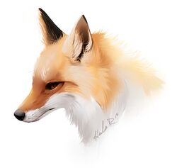  2018 black_nose brown_eyes canid canine digital_media_(artwork) fox fur headshot_portrait hi_res mammal orange_body orange_fur portrait simple_background solo taykoe white_background 