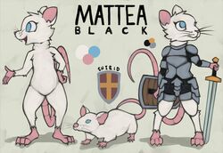  female feral hi_res knight mammal marsminer mattea_black model_sheet mouse multiple_forms murid murine rodent solo warrior 