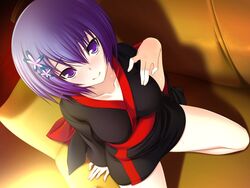  bare_legs black_kimono closed_mouth collarbone dutch_angle female game_cg hair_between_eyes hair_ornament indoors japanese_clothes kawagishi_keitarou kimono kneeling long_sleeves looking_at_viewer maji_de_watashi_ni_koi_shinasai! purple_eyes purple_hair shiina_miyako short_hair short_kimono smile solo 