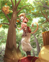  ahoge animal_ears basket blonde_hair cat_ears cat_tail chocobo dappled_sunlight fat_chocobo female final_fantasy final_fantasy_xiv fingerless_gloves food from_below fruit gloves gourd green_eyes happy highres jar looking_at_viewer looking_down miqo&#039;te nature ojiki orange_(fruit) outdoors picking_fruit ponytail puffy_short_sleeves puffy_sleeves sash short_sleeves sidelocks slit_pupils smile standing_on_animal sunlight tail tree warrior_of_light_(ff14) 