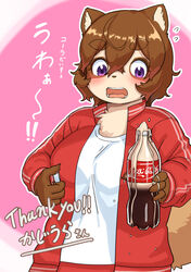  2020 4_fingers 848siba absurd_res anthro beverage big_breasts blush bodily_fluids bottle bottle_cap bottomwear breasts brown_body brown_fur brown_hair brown_nose canid canine chest_tuft claws clothed clothing coca-cola container dialogue digital_media_(artwork) emanata english_text eyebrow_through_hair eyebrows female female_anthro fingers flying_sweatdrops fur glistening glistening_hair hair half-length_portrait hi_res holding_beverage holding_object inner_ear_fluff jacket japanese_text kemono mammal multicolored_body multicolored_fur open_mouth pawpads pink_background portrait purple_eyes raccoon_dog red_clothing shaded shirt short_hair simple_background soda soda_bottle solo sweat sweatdrop t-shirt tail tan_body tan_fur tanuki teeth text tongue topwear translated translated_description translucent translucent_hair tuft white_background white_clothing 