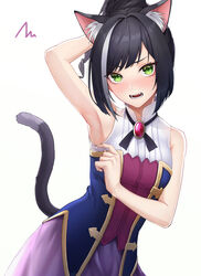  animal_ear_fluff animal_ears arm_up armpits bad_id bad_pixiv_id bare_arms bare_shoulders black_hair blush breasts brooch cat_ears cat_girl cat_tail fangs female gold_trim green_eyes highres ironatsuki jewelry karyl_(princess_connect!) long_hair looking_at_viewer multicolored_hair nose_blush open_mouth ponytail princess_connect! purple_skirt shirt simple_background skirt sleeveless sleeveless_shirt small_breasts solo streaked_hair tail tail_raised upper_body white_background 