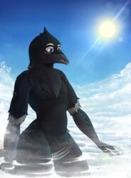  aircraft airplane anthro avian biped bird black_body black_feathers cloud corvid corvus_(genus) crazymangak crow curanull feathers giga hi_res jet macro male nude oscine outside passerine sky skyscape smile solo vehicle 