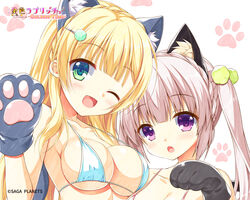  2girls :o ;d animal_ear_fluff animal_ears animal_hands aqua_bikini asymmetrical_docking bare_shoulders bikini blonde_hair blunt_bangs blush braid breast_press breasts caminal_le_pultaia_sortilege_sisua cat_ears cleavage close-up collarbone company_name copyright_name crown_braid eyes_visible_through_hair gloves grey_hair hair_ornament hairclip halterneck hand_up happy highres hisama_kumako hug kin-iro_loveriche large_breasts long_hair looking_at_viewer moribe_(rabumanyo) multiple_girls official_art one_eye_closed open_mouth paw_gloves paw_pose paw_print pink_bikini pom_pom_(clothes) pom_pom_hair_ornament purple_eyes siblings side-by-side sidelocks simple_background sisters small_breasts smile swimsuit sylvia_le_cruzcrown_sortilege_sisua twintails waving white_background 