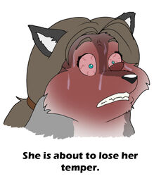  2016 angry anthro bloodshot_eyes blue_eyes bodily_fluids brown_hair canid canine canis digital_media_(artwork) english_text facial_expression fangs female fur grey_body grey_fur hair headshot_portrait mammal overweight overweight_anthro overweight_female pink_sclera ponytail portrait rage_face red_face solo sophia_(xxsparcoxx) sweat teeth text wolf xxsparcoxx 