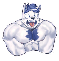  1boy absurdres animal_ear_fluff animal_ears bara blue_doggo_(ttn) blue_fur blue_hair chest_tuft cropped_shirt dog_boy dog_ears facial_hair furry furry_male goatee_stubble half-closed_eyes highres huge_eyebrows large_pectorals male_focus muscular muscular_male open_mouth original pectoral_squeeze pectorals short_hair solo stubble sweat thick_eyebrows tongue tongue_out ttn_(239_239) two-tone_fur v_arms white_fur 