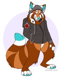  2016 ailurid anthro anyare blue_nose bottomless canadian clothed clothing electronics headphones hoodie male mammal red_eyes red_panda simple_background solo tongue tongue_out topwear 