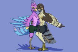  2020 3_fingers 3_toes 4_toes accipiter accipitrid accipitriform anisodactyl anthro avian avian_feet bird blue_body blue_feathers bottomwear brown_body brown_feathers bulge claws clothed clothing countershading digital_media_(artwork) doesnotexist duo eurasian_sparrowhawk feathered_wings feathers feet fingers galliform green_eyes gyro_feather hand_on_hip hi_res lidded_eyes lief_woodcock looking_at_viewer male multicolored_body multicolored_feathers peafowl phasianid pink_body pink_feathers raised_leg scuted_arms scutes shorts signature smile spandex spandex_shorts tail tail_feathers talons tan_body tan_feathers tight_bottomwear tight_clothing tight_shorts toe_claws toes topless true_hawk winged_arms wings yellow_eyes 