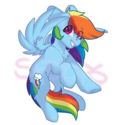  1:1 2019 alpha_channel blue_body blue_fur cutie_mark equid equine feathered_wings feathers feral friendship_is_magic fur hasbro hi_res itsspoopsb looking_up mammal my_little_pony mythological_creature mythological_equine mythology pegasus pink_eyes rainbow_dash_(mlp) simple_background smile solo transparent_background wings 