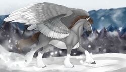  absurd_res belly blurred_background brown_eyes brown_hair dallas_prairiewind equid equine feathered_wings feathers feral fetlocks fur grey_body grey_fur hair hi_res huskii-s leg_markings looking_at_viewer male mammal markings mythological_creature mythological_equine mythology pegasus running snow socks_(marking) solo spread_wings white_belly wings 