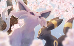  :&lt; blurry closed_eyes closed_mouth commentary day espeon falling_petals flower fluffy from_below momomo12 no_humans outdoors petals pink_flower pokemon pokemon_(creature) purple_eyes tree umbreon 