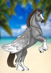  beach blurred_background brown_eyes brown_hair cloud dallas_prairiewind equid equine feathered_wings feathers feral fetlocks fur grey_body grey_fur hair hi_res leg_markings looking_at_viewer male mammal markings mythological_creature mythological_equine mythology on_hind_legs pegasus plant sand seaside socks_(marking) solo tabascocat tree wings 