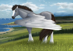  alexandradane brown_eyes brown_hair cloud cloudy_sky dallas_prairiewind equid equine eyebrows feathered_wings feathers feral fur grass grey_body grey_fur hair leg_markings looking_at_viewer male mammal markings mythological_creature mythological_equine mythology pegasus plant sky socks_(marking) solo white_markings wings 