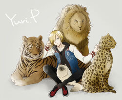  1boy animal animal_print blonde_hair character_name commentary_request feline green_eyes hair_over_one_eye indian_style jacket leopard leopard_print lion male_focus mamemomota photoshop_(medium) puma_tiger_scorpion sitting tiger track_jacket yuri!!!_on_ice yuri_plisetsky 