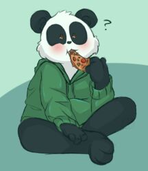  anthro bear blush bottomless brown_eyes clothed clothing eating eating_food food giant_panda hoodie male mammal overweight overweight_anthro overweight_male pizza question_mark sinamuna sitting solo topwear 