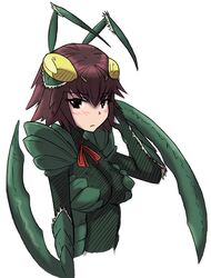  animal_hands antennae arm_behind_head arm_blade arthropod_girl artist_request black_eyes blush breasts brown_hair carapace female frown large_breasts looking_at_viewer mantis_(monster_girl_encyclopedia) mantis_girl monster_girl monster_girl_encyclopedia neck_ribbon ribbon short_hair simple_background solo source_request upper_body weapon white_background 