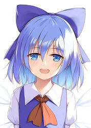  :d blue_bow blue_dress blue_eyes blue_hair blush bow cirno commentary dress female flan_(seeyouflan) hair_between_eyes hairbow highres ice ice_wings looking_at_viewer neck_ribbon oerba_yun_fang open_mouth photoshop_(medium) puffy_short_sleeves puffy_sleeves red_ribbon ribbon short_hair short_sleeves simple_background smile solo symbol-only_commentary touhou upper_body white_background wings 