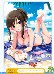  ass bare_legs barefoot beach bikini bird blue_bikini blue_sky breasts brown_eyes brown_hair cleavage cloud cloudy_sky crab crossed_legs day dengeki_moeou digital_media_player earbuds earphones feline female flower halterneck head_rest headpat highres kurogoma lying medium_breasts mole mole_under_eye on_stomach outdoors parted_lips side-tie_bikini_bottom sidelocks single_earphone_removed sky solo string_bikini swimsuit the_pose wet wet_hair 