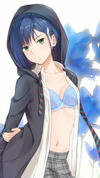  :/ arm_at_side arm_behind_back blue_bra blue_hair bra breasts collarbone commentary_request cowboy_shot darling_in_the_franxx diagonal-striped_clothes diagonal-striped_necktie female frown green_eyes hair_ornament hairclip head_tilt highres hood hood_up hoodie ichigo_(darling_in_the_franxx) kanden_sky larkspur_(flower) looking_at_viewer navel necktie open_clothes open_hoodie open_shirt plaid plaid_skirt pleated_skirt school_uniform shirt short_hair skirt small_breasts solo striped_clothes striped_necktie underwear undone_necktie white_shirt 