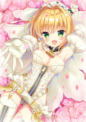  fate/extra fate/extra_ccc fate/grand_order fate/stay_night saber_bride saber_extra 