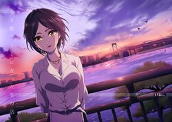  bad_id bad_twitter_id bird black_hair breasts bridge cleavage cover cover_page doujin_cover dutch_angle female hayami_kanade idolmaster idolmaster_cinderella_girls jewelry medium_breasts necklace odaiba outdoors parted_bangs short_hair smile solo souen_hiro sunset twilight yellow_eyes 