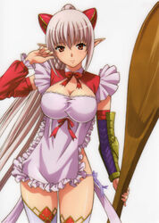  aldra_(queen&#039;s_blade) breasts brown_eyes cleavage female female large_breasts long_hair looking_at_viewer pointy_ears queen&#039;s_blade queen&#039;s_blade_vanquished_queens scan shiny_skin silver_hair smile solo standing 