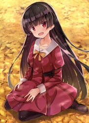  :d autumn_leaves beret black_hair black_pantyhose blush bow brown_footwear capelet collarbone commentary_request female from_above full_body ginkgo_tree hat head_tilt hime_cut long_hair long_sleeves looking_at_viewer masamune_shizuru noble_works on_ground open_mouth orange_bow pantyhose red_eyes red_hat red_skirt rurukuru shoes sitting skirt smile solo unworn_hat unworn_headwear very_long_hair wariza 