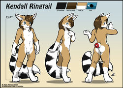  2015 absurd_res anthro bassariscus black_border border brown_hair cacomistle english_text femboy hair hi_res kendall_(sirkain) looking_back male mammal markings model_sheet nude o-kemono procyonid ring-tailed_cat ring_(marking) ringed_tail solo striped_markings striped_tail stripes tail tail_markings text url 