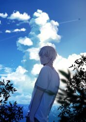  1boy absurdres aircraft airplane amuro_tooru arms_at_sides bishounen blonde_hair blue_eyes blue_sky blurry blurry_foreground casual chitose_(chitose_70207) closed_mouth cloud cloudy_sky commentary contrail crossed_bangs day hair_between_eyes highres horizon looking_at_viewer looking_back male_focus meitantei_conan outdoors pants plant shirt short_hair short_sleeves sky smile solo standing upper_body white_shirt 