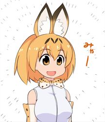  :d animal_ears bare_shoulders bow bowtie breasts commentary elbow_gloves emphasis_lines extra_ears female gloves hair_between_eyes happy isemagu kemono_friends large_breasts open_mouth orange_bow orange_bowtie orange_eyes orange_hair print_bow print_bowtie serval_(kemono_friends) serval_print shirt short_hair sleeveless sleeveless_shirt smile solo translated two-tone_bowtie white_bow white_bowtie white_shirt 