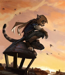  2015 ambiguous_gender anthro assassin&#039;s_creed clothed clothing detailed_background domestic_cat felid feline felis france hax_(artist) kenket lofi mammal on_roof outside paris solo ubisoft young young_anthro 