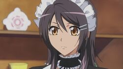  amber_eyes ayuzawa_misaki black_hair choker female female kaichou_wa_maid-sama kaichou_wa_maid-sama! maid plate short_hair solo yellow_eyes 