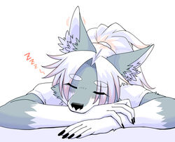  4_fingers anthro black_claws black_nose canid canine canis chest_tuft claws closed_eyes clothing digital_media_(artwork) female female_anthro fingers fur grey_body grey_fur hair hi_res highlights_(coloring) inner_ear_fluff kemono long_hair mammal okami_bark ookamiwaho purple_highlights shirt simple_background sleeping solo sound_effects topwear tuft vowelless vowelless_sound_effect white_body white_clothing white_fur white_hair white_shirt white_topwear wolf zzz 