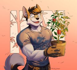  anjing_kampuss anthro bell_pepper biceps canid canine canis domestic_dog food fruit hi_res joseph_(anjing_kampuss) male mammal muscular muscular_male nordic_sled_dog pepper_(fruit) plant smile solo spitz 