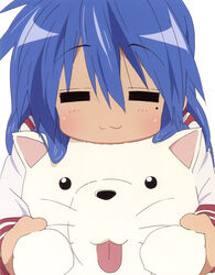  blue_hair canine cherry_(lucky_star) female izumi_konata lucky_star tagme 