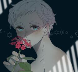  1boy aqua_eyes bad_id bad_pixiv_id blue_eyes blush collarbone commentary_request flower from_side highres holding holding_flower light looking_at_viewer looking_to_the_side male_focus mau_sakura norman_(yakusoku_no_neverland) parted_lips red_flower shaded_face shadow simple_background smelling solo thick_eyebrows upper_body white_hair yakusoku_no_neverland 