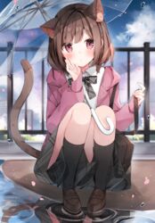  animal_ears blurry blurry_background blush brown_eyes brown_hair cat_ears cat_tail extra_ears female heripiro highres holding holding_umbrella jacket looking_at_viewer open_clothes open_jacket original outdoors petals puddle reflection short_hair skirt solo squatting tail umbrella wet_floor 