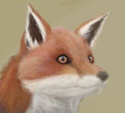  bust_portrait canid canine digital_media_(artwork) feral fox mammal painting portrait red_fox solo tilo true_fox 