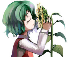  closed_eyes eyelashes female flower gatau green_hair kazami_yuuka lipstick makeup short_hair simple_background solo sunflower touhou vest white_background 