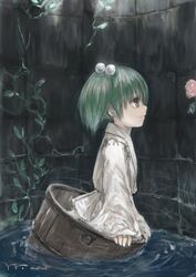  afloat bad_id bad_pixiv_id bucket closed_mouth dark female flower from_side green_hair hair_bobbles hair_ornament in_bucket in_container japanese_clothes kisume looking_afar masuchi pink_flower plant profile short_hair sleeves_past_wrists smile solo touhou twintails vines water well wooden_bucket 